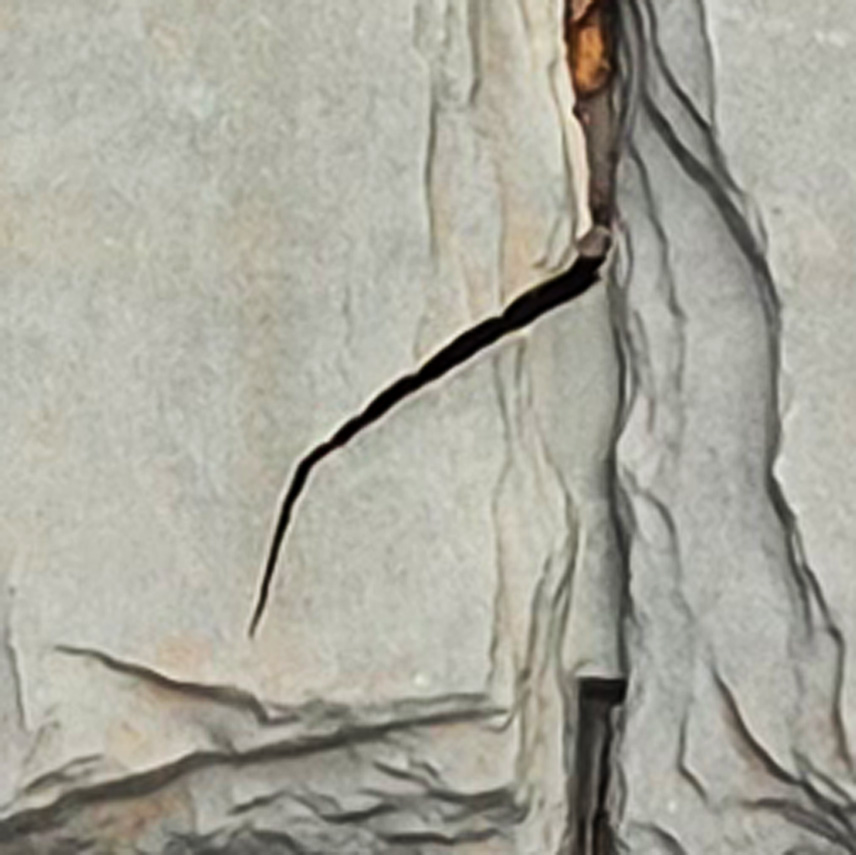 Splitting and curling shingles